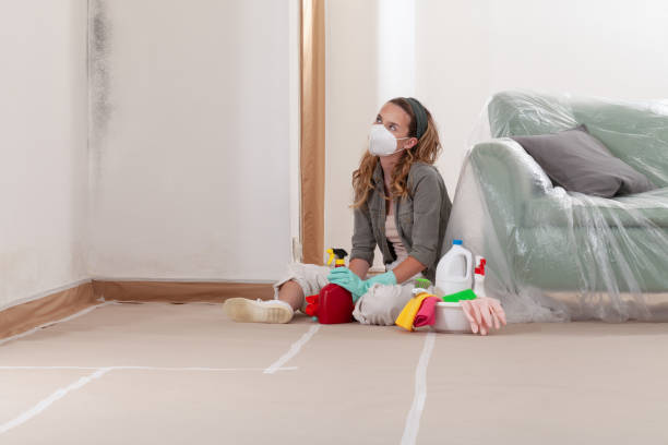 Reliable Hvac And Air Duct Mold Remediation contractor in Central City, KY by 24 Hour Mold Removal